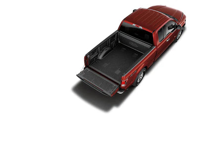 F-150 Plastic Tailgate Liner